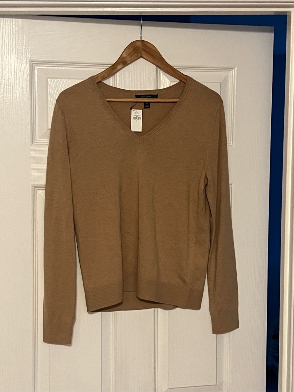Banana Republic V-Neck Sweater in Camel